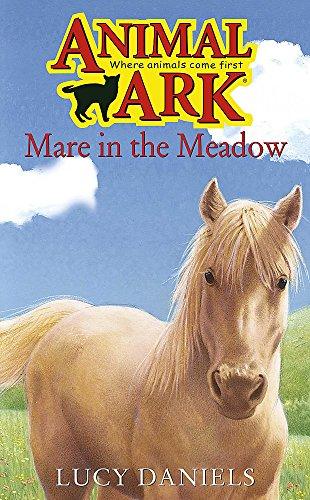 Mare in the Meadow (Animal Ark)