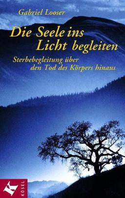 Die Seele ins Licht begleiten