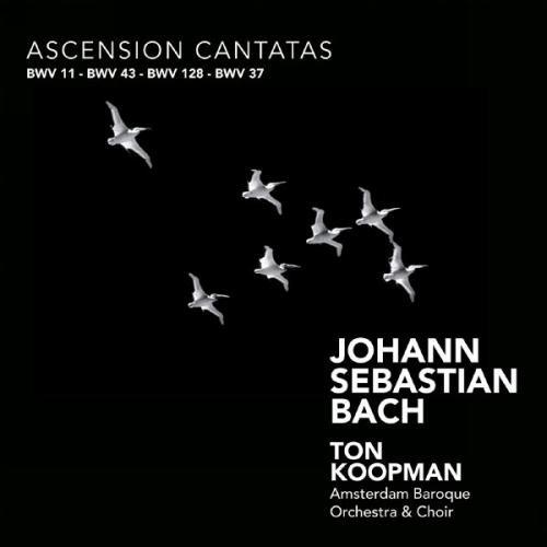 ASCENSION CANTATAS