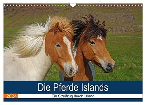 Die Pferde Islands - Ein Streifzug durch Island (Wandkalender 2024 DIN A3 quer), CALVENDO Monatskalender: Die wunderbaren Islandpferde werden in ... von ihrer schönsten Seite präsentiert