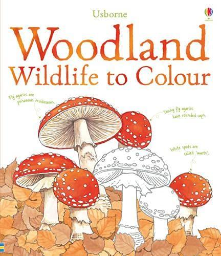 Meredith, S: Woodland Wildlife to Colour (Nature Colouring Books)