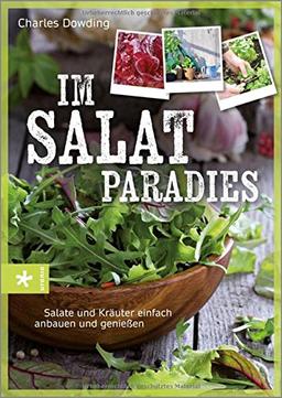 Im Salatparadies: Salate und Kräuter einfach anbauen und genießen