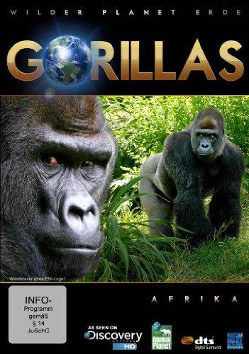 Wilder Planet Erde: Afrika - Gorillas