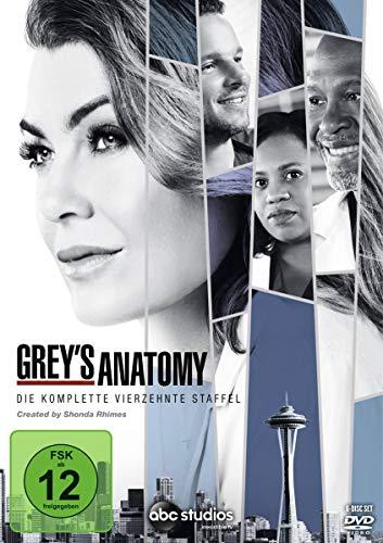 Grey's Anatomy: Die jungen Ärzte - Die komplette 14. Staffel [6 DVDs]