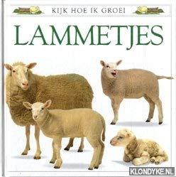 Lammetjes (Kijk hoe ik groei)