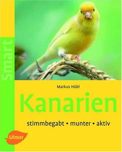 Kanarien: Stimmbegabt - munter - aktiv