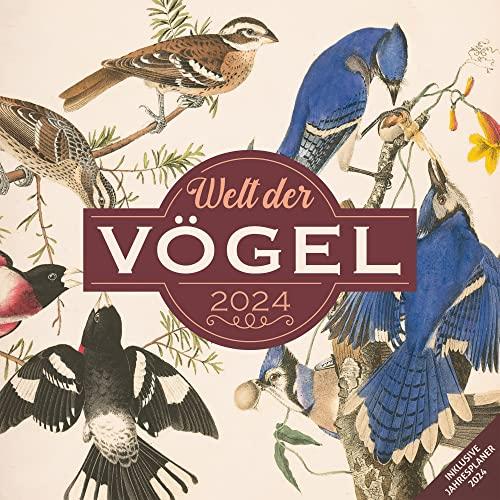 Welt der Vögel 2024, Wandkalender/Broschürenkalender im Hochformat (aufgeklappt 30x60 cm) - Vintage-Kalender mit Monatskalendarium zum Eintragen