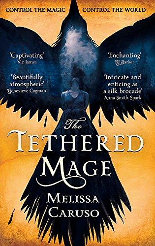 The Tethered Mage (Swords and Fire, Band 1)