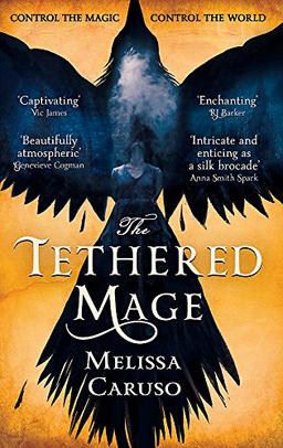 The Tethered Mage (Swords and Fire, Band 1)