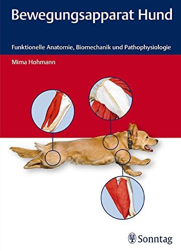 Bewegungsapparat Hund: Funktionelle Anatomie, Biomechanik und Pathophysiologie