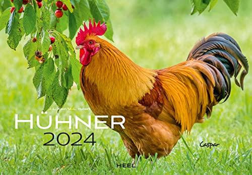 Hühner Kalender 2024: Der Tierkalender mit den charmanten Namen