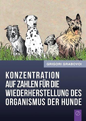 Konzentration auf Zahlen für die Wiederherstellung des Organismus der Hunde