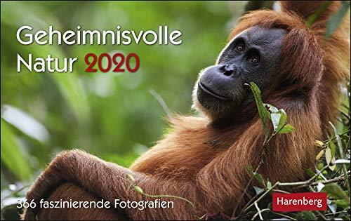 Geheimnisvolle Natur 2020 23x17cm