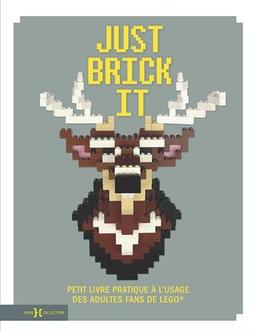 Just brick it : petit livre pratique à l'usage des adultes fans de Lego