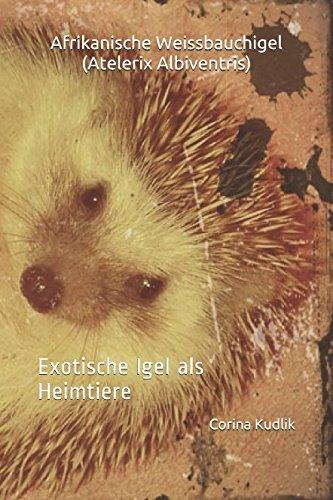 Afrikanische Weissbauchigel (Atelerix Albiventris): Exotische Igel als Heimtiere