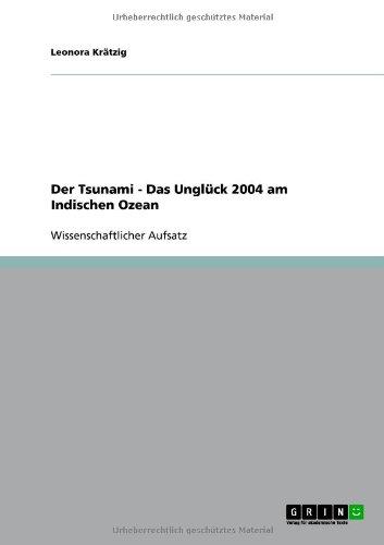 Der Tsunami - Das Unglück 2004 am Indischen Ozean