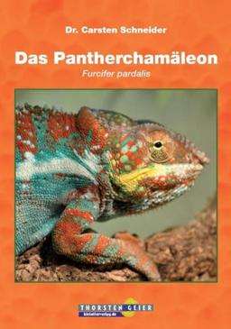 Das Pantherchamäleon: Furcifer pardalis