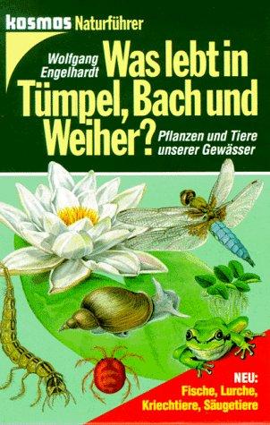 Was lebt in Tümpel, Bach und Weiher?