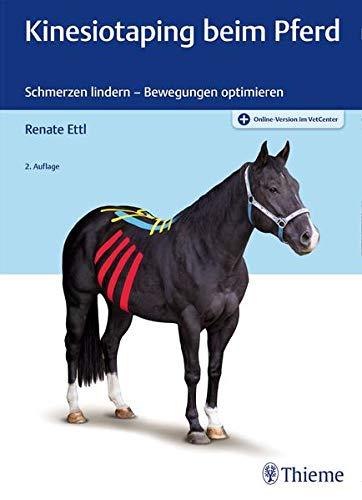 Kinesiotaping beim Pferd: Schmerzen lindern - Bewegungen optimieren