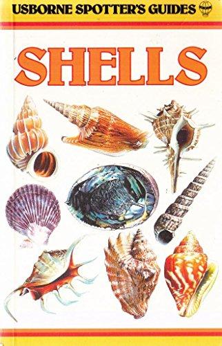 Shells: An Introduction to Seashells of the World (Spotter's Guide)