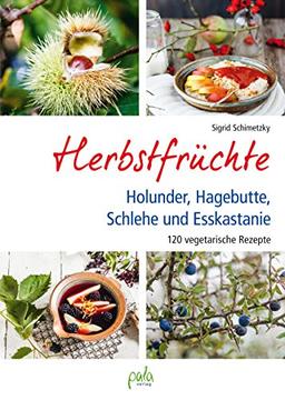 Herbstfrüchte: Holunder, Hagebutte, Schlehe und Esskastanie