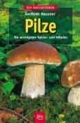 Pilze: Die wichtigsten Speise- und Giftpilze