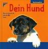 Dein Hund: Was er braucht & was er alles kann