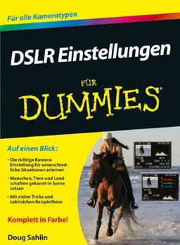 DSLR Einstellungen für Dummies (Fur Dummies)