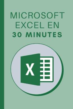 Microsoft Excel en 30 minutes: Les bases de Microsoft Excel 2019 en 30 minutes