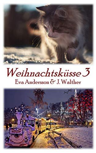 Weihnachtsküsse 3: Lesbische Weihnachtsgeschichten