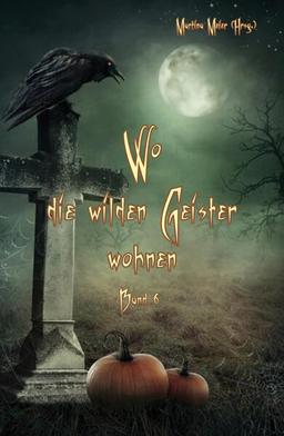 Wo die wilden Geister wohnen: Schaurig-schöne Geschichten für Kinder Band 6