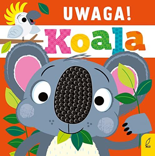 Uwaga! Koala