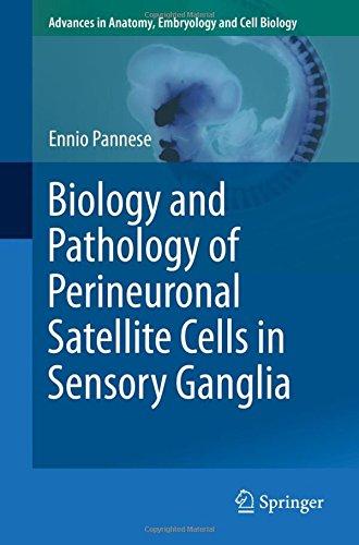 Biology and Pathology of Perineuronal Satellite Cells in Sensory Ganglia (Advances in Anatomy, Embryology and Cell Biology, Band 226)