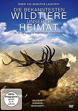 Die bekanntesten Wildtiere unserer Heimat