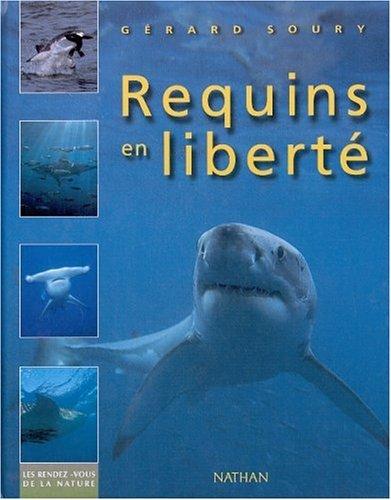 Requins en liberté