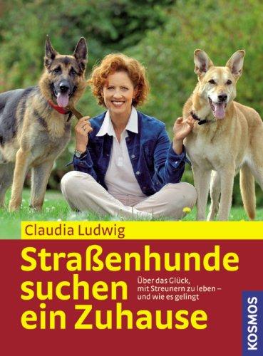 Straßenhunde suchen ein Zuhause. Über das Glück, mit Streunern zu leben - und wie es gelingt