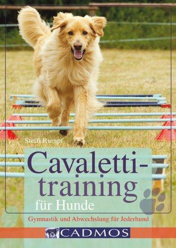 Cavalettitraining für Hunde: Gymnastik und Abwechslung für Jederhund