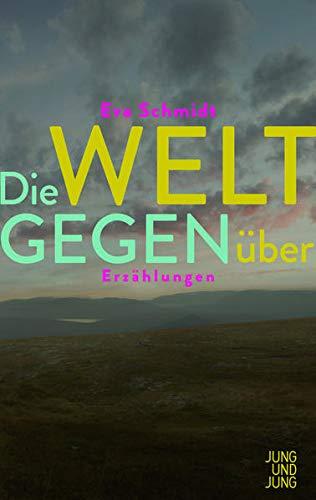 Die Welt gegenüber: Erzählungen