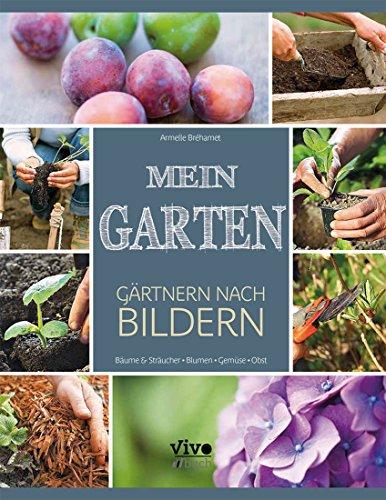 Mein Garten - Gärtnern nach Bildern