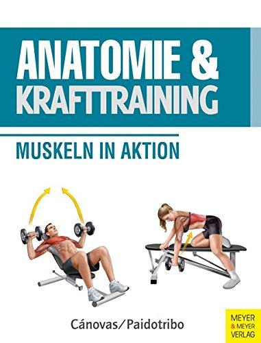 Anatomie und Krafttraining: Muskeln in Aktion