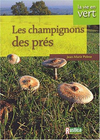 Les champignons des prés