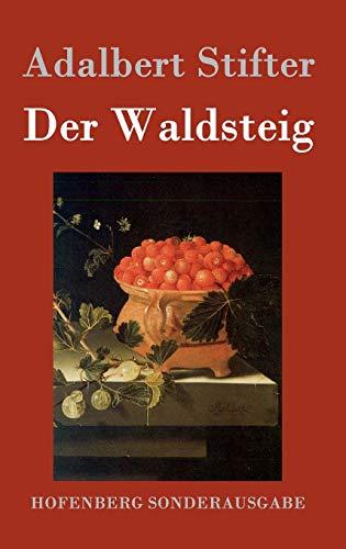 Der Waldsteig