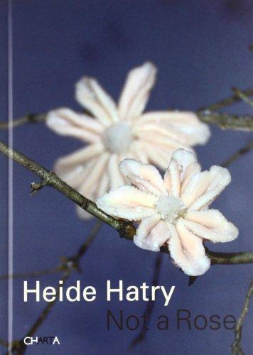 Heide Hatry: Not a Rose