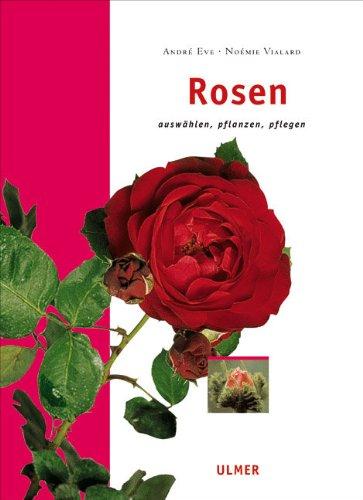 Rosen: Auswählen, pflanzen, pflegen