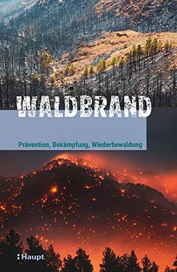 Waldbrand: Prävention, Bekämpfung, Wiederbewaldung