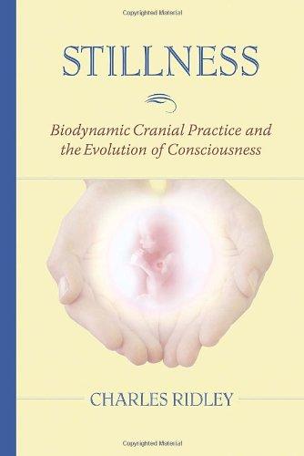 Stillness: Biodynamic Cranial Practice and the Evolution of Consciousness