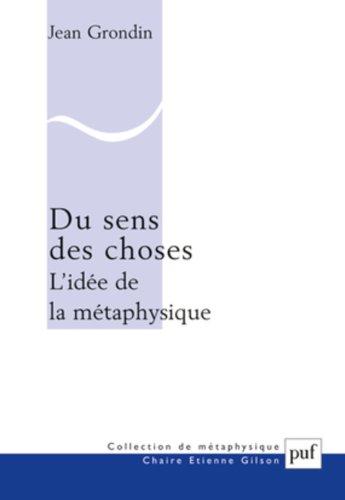 Du sens des choses : l'idée de la métaphysique