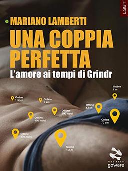 Una coppia perfetta. L'amore ai tempi di Grindr (Pesci rossi - goWare)