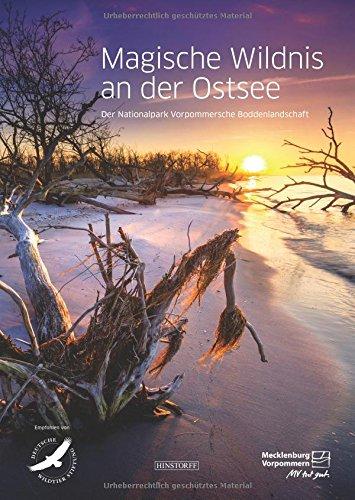 Magische Wildnis an der Ostsee: Nationalpark Vorpommersche Boddenlandschaft