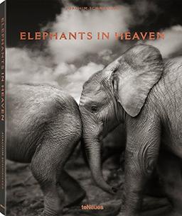 Elephants in heaven